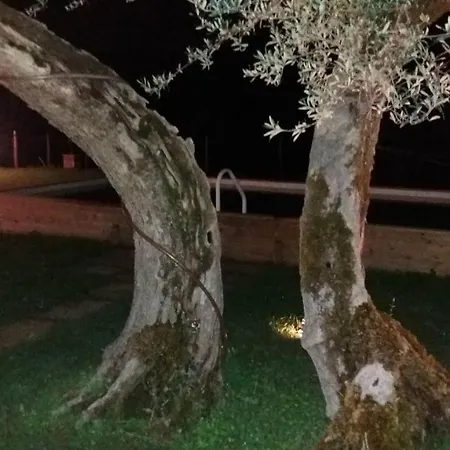 Santa Vittoria Sleeps 4 וילה Sant'Orfeto