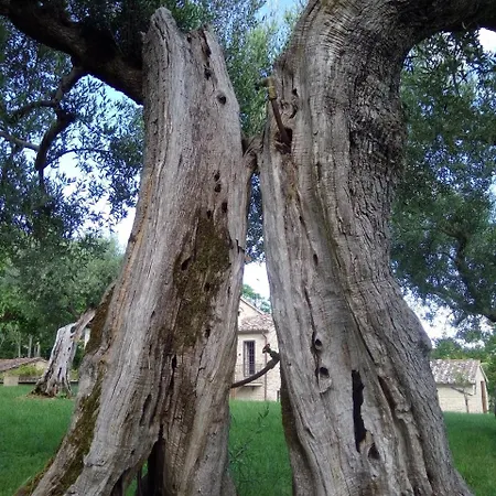 וילה Santa Vittoria Sleeps 4